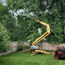 Best Tree Preservation Services  in Boiling Springs, PA