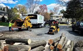 Best Emergency Tree Removal  in Boiling Springs, PA